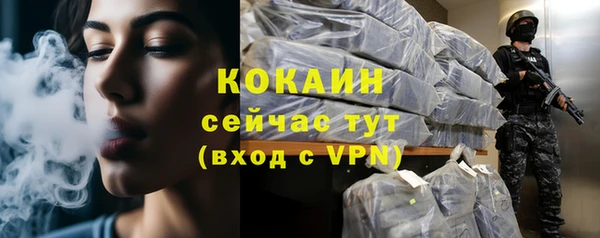 мдма Новодвинск
