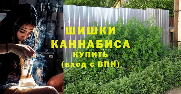 мдма Новодвинск