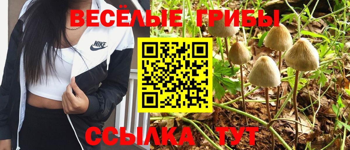 Псилоцибиновые грибы Psilocybe  Галлюциногенные грибы Cubensis  Вход с VPN  Арсеньев 