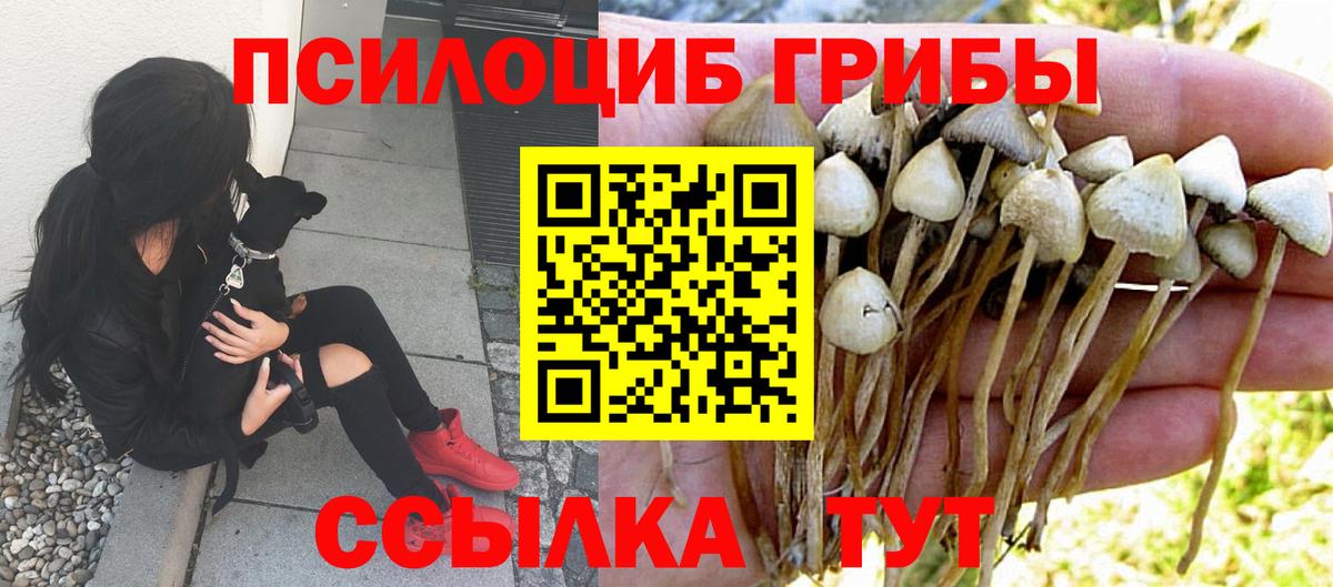 Галлюциногенные грибы Magic Shrooms Арсеньев