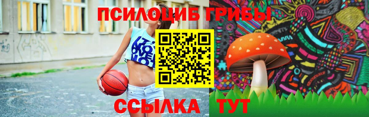 Псилоцибиновые грибы мицелий  Арсеньев  Псилоцибиновые грибы мицелий 